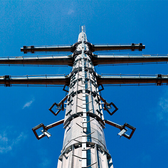 Poles of electrical transmission lines 