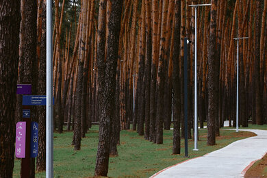 Park lighting in Kyiv