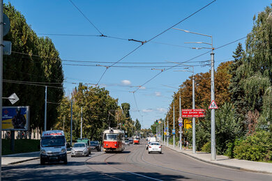 Contact line poles in Kyiv